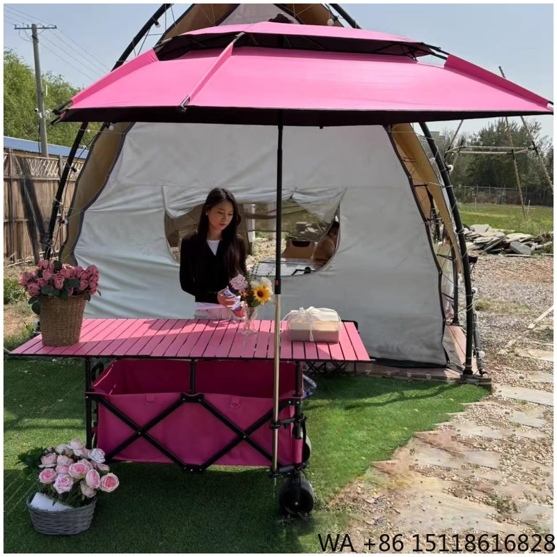 420L High Quality 4-Position H - Outdoor Camping Canopy 评论和价格